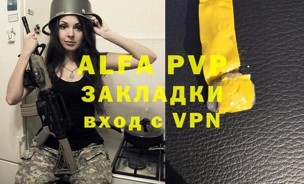 гашик Надым