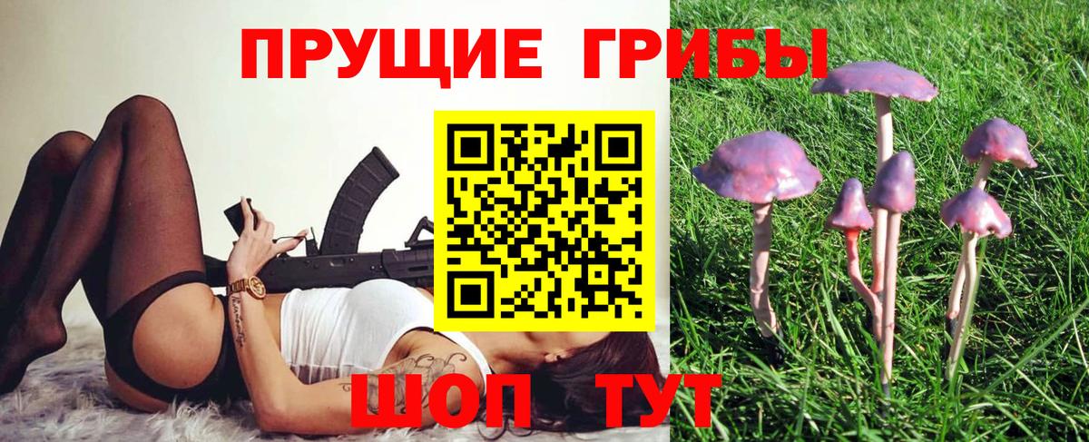 Псилоцибиновые грибы мухоморы Печора